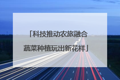 科技推动农旅融合 蔬菜种植玩出新花样