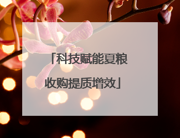科技赋能夏粮收购提质增效