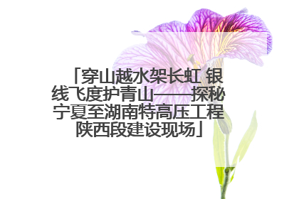 穿山越水架长虹 银线飞度护青山——探秘宁夏至湖南特高压工程陕西段建设现场