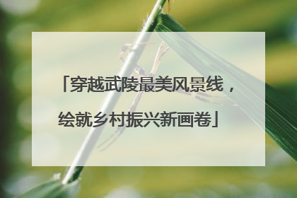 穿越武陵最美风景线，绘就乡村振兴新画卷