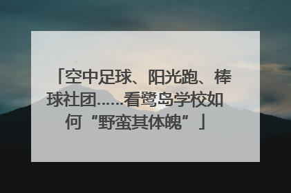空中足球、阳光跑、棒球社团……看鹭岛学校如何“野蛮其体魄”