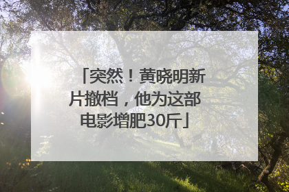 突然！黄晓明新片撤档，他为这部电影增肥30斤