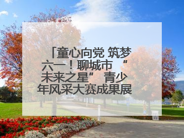 童心向党 筑梦六一！聊城市 “未来之星” 青少年风采大赛成果展示活动圆满成功