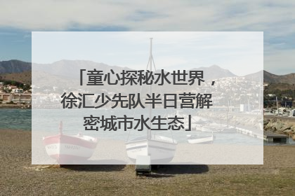 童心探秘水世界，徐汇少先队半日营解密城市水生态
