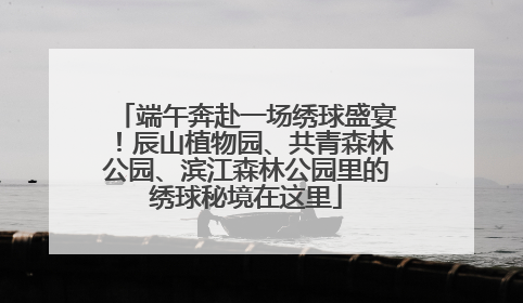端午奔赴一场绣球盛宴！辰山植物园、共青森林公园、滨江森林公园里的绣球秘境在这里