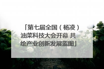 第七届全国（杨凌）油菜科技大会开幕 共绘产业创新发展蓝图