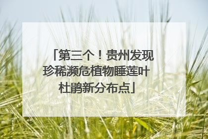 第三个！贵州发现珍稀濒危植物睡莲叶杜鹃新分布点