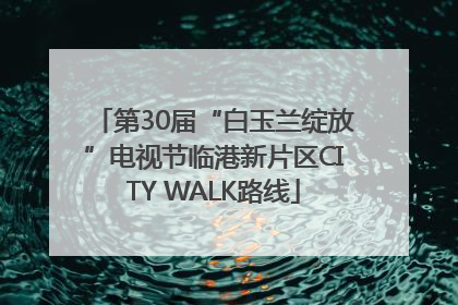 第30届“白玉兰绽放”电视节临港新片区CITY WALK路线