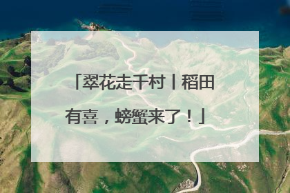 翠花走千村丨稻田有喜，螃蟹来了！