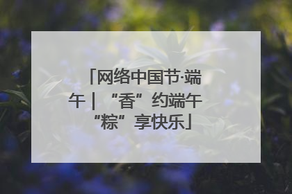 网络中国节·端午｜“香”约端午 “粽”享快乐