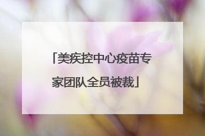 美疾控中心疫苗专家团队全员被裁