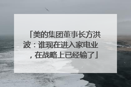 美的集团董事长方洪波：谁现在进入家电业，在战略上已经输了