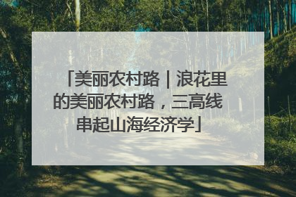 美丽农村路｜浪花里的美丽农村路，三高线串起山海经济学