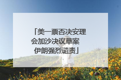 美一票否决安理会加沙决议草案 伊朗强烈谴责