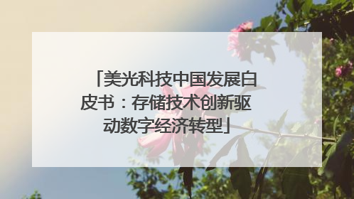 美光科技中国发展白皮书：存储技术创新驱动数字经济转型