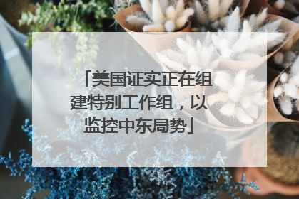 美国证实正在组建特别工作组，以监控中东局势