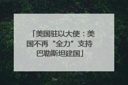 美国驻以大使：美国不再“全力”支持巴勒斯坦建国