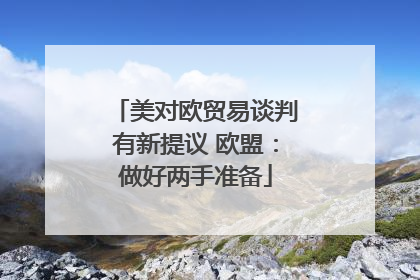 美对欧贸易谈判有新提议 欧盟：做好两手准备