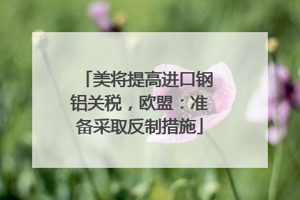美将提高进口钢铝关税，欧盟：准备采取反制措施