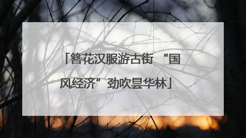 簪花汉服游古街 “国风经济”劲吹昙华林