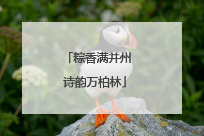 粽香满并州 诗韵万柏林