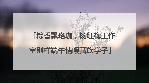 粽香飘珞珈，杨红梅工作室别样端午情暖藏族学子