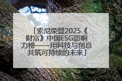 索尼荣登2025《财富》中国ESG影响力榜——用科技与创意共筑可持续的未来