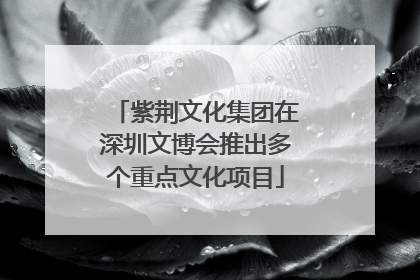 紫荆文化集团在深圳文博会推出多个重点文化项目