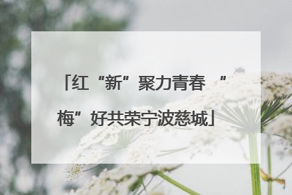 红“新”聚力青春 “梅”好共荣宁波慈城