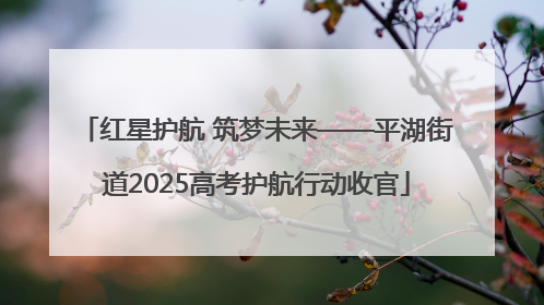红星护航 筑梦未来——平湖街道2025高考护航行动收官