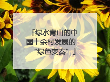 绿水青山的中国丨余村发展的“绿色变奏”