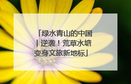 绿水青山的中国丨逆袭！荒草水塘变身文旅新地标