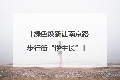 绿色焕新让南京路步行街“逆生长”