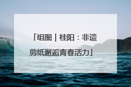组图｜桂阳：非遗剪纸邂逅青春活力