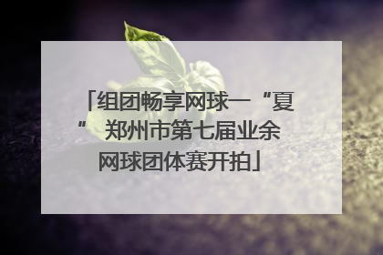 组团畅享网球一“夏” 郑州市第七届业余网球团体赛开拍