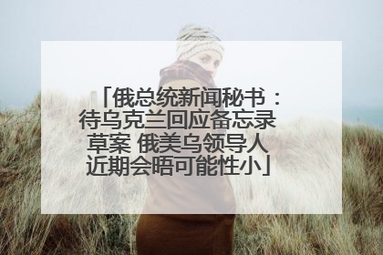 俄总统新闻秘书：待乌克兰回应备忘录草案 俄美乌领导人近期会晤可能性小