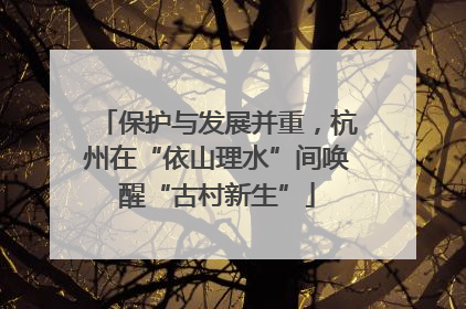 保护与发展并重，杭州在“依山理水”间唤醒“古村新生”