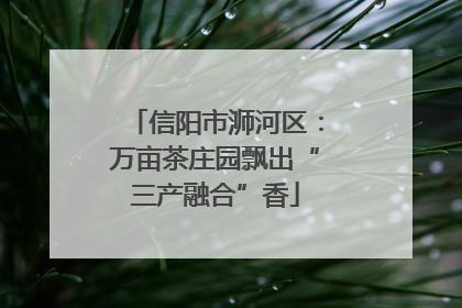 信阳市浉河区：万亩茶庄园飘出“三产融合”香