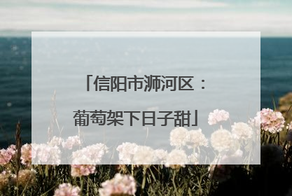 信阳市浉河区：葡萄架下日子甜