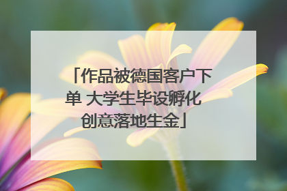 作品被德国客户下单 大学生毕设孵化创意落地生金