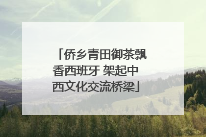 侨乡青田御茶飘香西班牙 架起中西文化交流桥梁