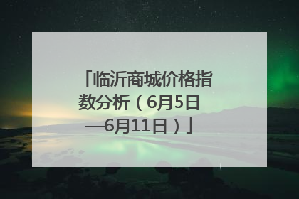临沂商城价格指数分析（6月5日—6月11日）