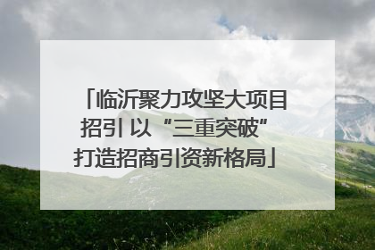 临沂聚力攻坚大项目招引 以“三重突破”打造招商引资新格局