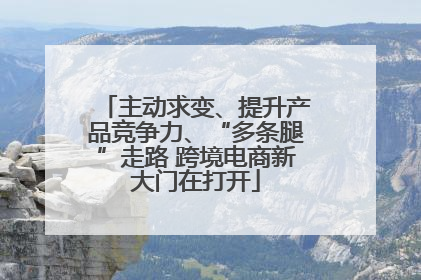 主动求变、提升产品竞争力、“多条腿”走路 跨境电商新大门在打开