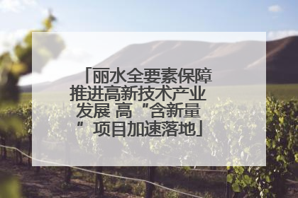 丽水全要素保障推进高新技术产业发展 高“含新量”项目加速落地