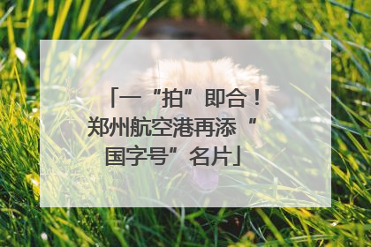 一“拍”即合！郑州航空港再添“国字号”名片