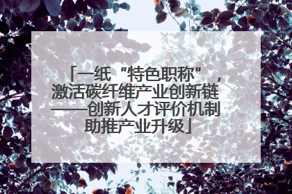 一纸“特色职称”，激活碳纤维产业创新链——创新人才评价机制 助推产业升级