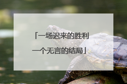 一场迟来的胜利 一个无言的结局