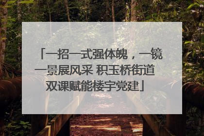 一招一式强体魄，一镜一景展风采 积玉桥街道双课赋能楼宇党建