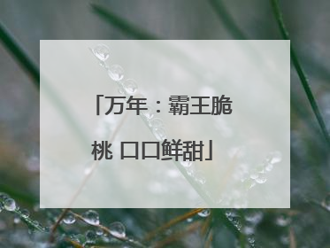 万年：霸王脆桃 口口鲜甜